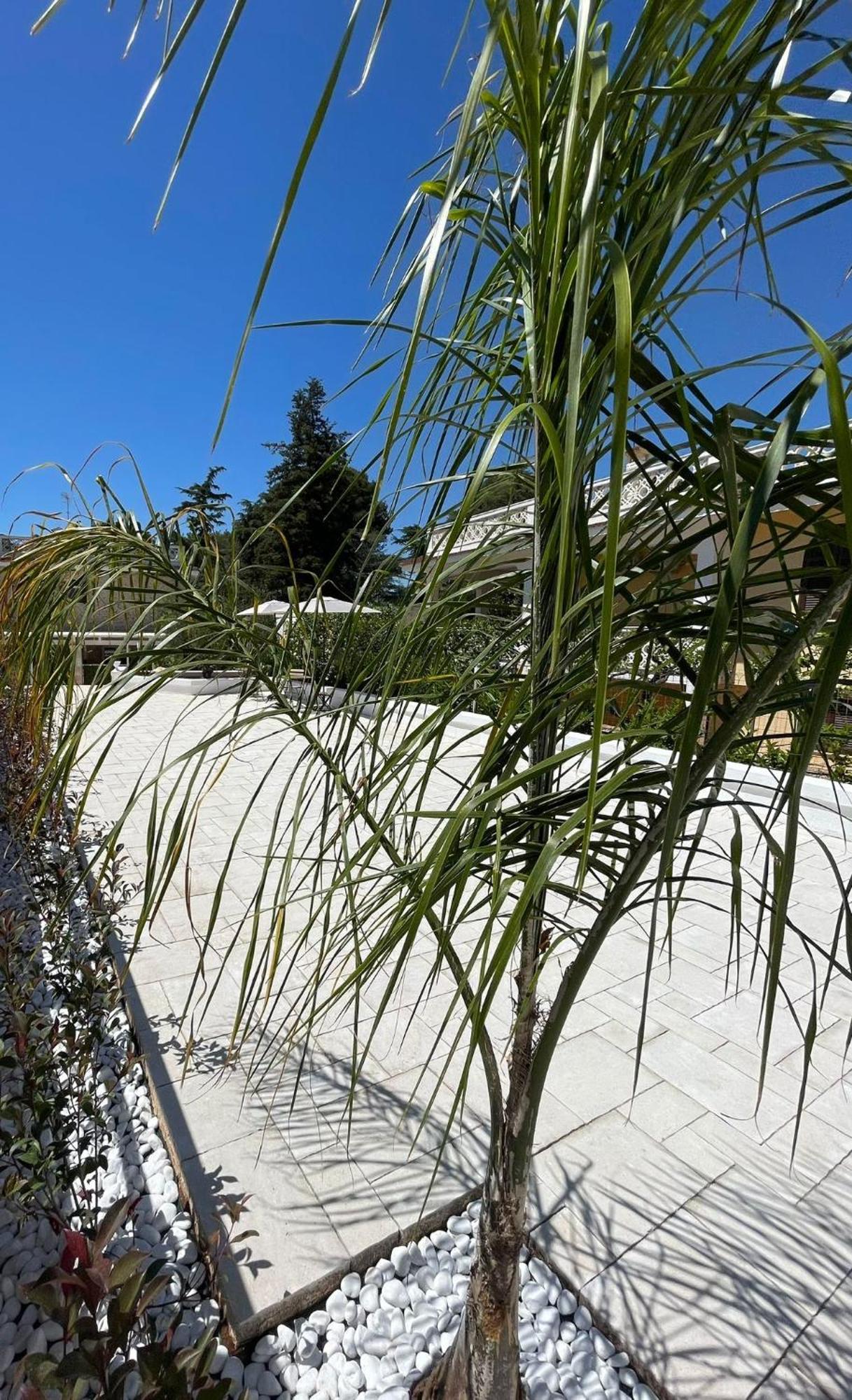 Allivigne Rooms & Pool Polignano a Mare Exterior foto